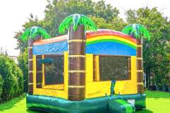 safari-bounce-house-jumper-in-tri-county-south-carolina