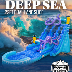22 Ft. Deep Sea Dual Lane Slide (WET/DRY)